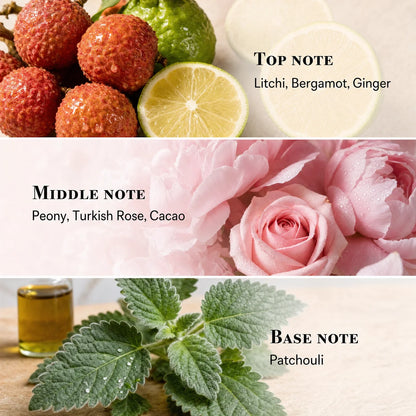 Voyage Nova Eau de Parfum